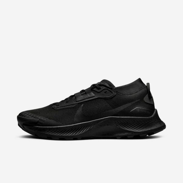 Nike Pegasus Trail 3 GORE-TEX “Black”