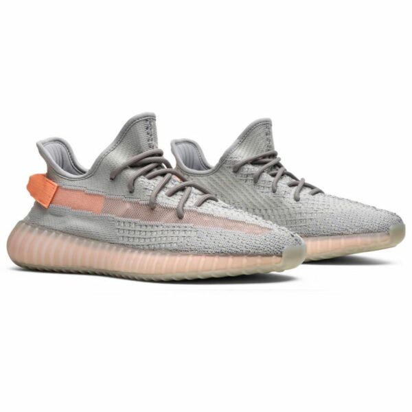 Adidas Yeezy Boost 350 V2 “True Form"