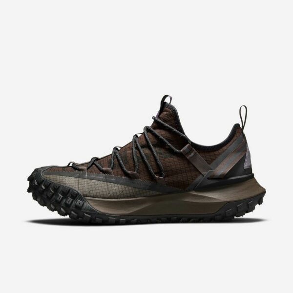 Nike ACG Mountain Fly Low 'Brown Basalt'