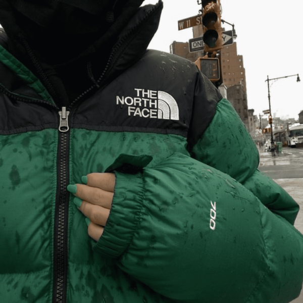The North Face 1996 Nuptse Jacket